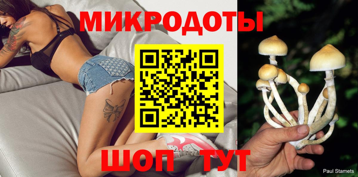 Заводоуковск  Галлюциногенные грибы Cubensis  Вход с VPN 